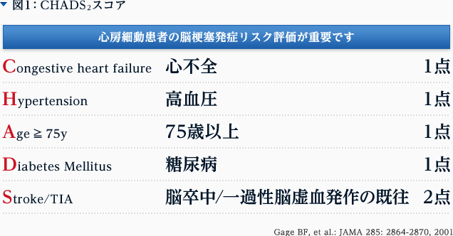 図1：CHADS2スコア 心房細動患者の脳梗塞発症リスク評価が重要です Congestive heart failure：心不全1点。Hypertension：高血圧1点。Age ≧ 75y：75歳以上1点。Diabetes Mellitus：糖尿病1点。Stroke/TIA：脳卒中/一過性脳虚血発作の既往2点。Gage BF, et al.: JAMA 285: 2864-2870, 2001