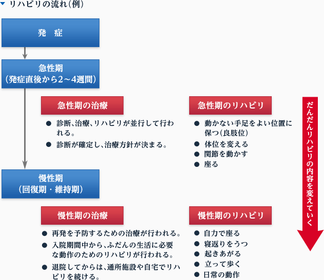 リハビリの流れ（例） 1.発症。2.急性期（発症直後から2～4週間） 急性期の治療：・診断、治療、リハビリが並行して行われる。・診断が確定し、治療方針が決まる。急性期のリハビリ：・動かない手足をよい位置に保つ（良肢位）・体位を変える・関節を動かす・座る 3.慢性期（回復期・維持期）慢性期の治療：・再発を予防するための治療が行われる。・入院期間中から、ふだんの生活に必要な動作のためのリハビリが行われる。・退院してからは、通所施設や自宅でリハビリを続ける。慢性期のリハビリ：自力で座る・寝返りをうつ・起きあがる・立って歩く・日常の動作 だんだんリハビリの内容を変えていく